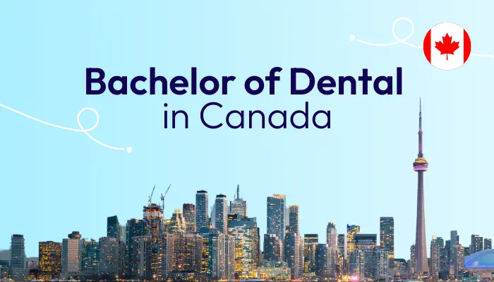 Bachelor of Dental in Canada