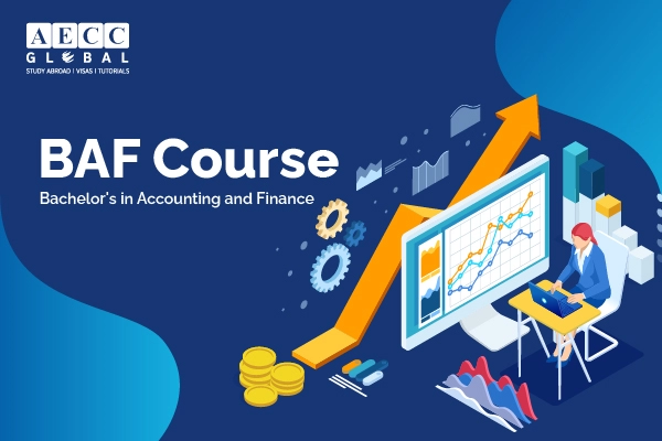 Bachelor’s in Finance and Accounting (BAF) Course