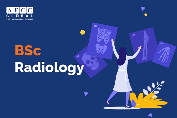 BSc Radiology