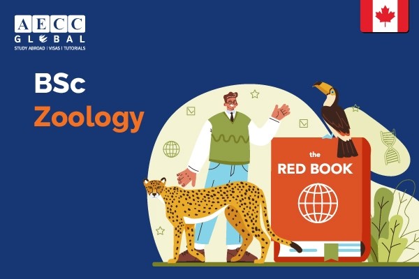 BSc Zoology