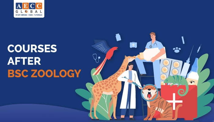 Courses After BSc Zoology - Blog| AECC Global