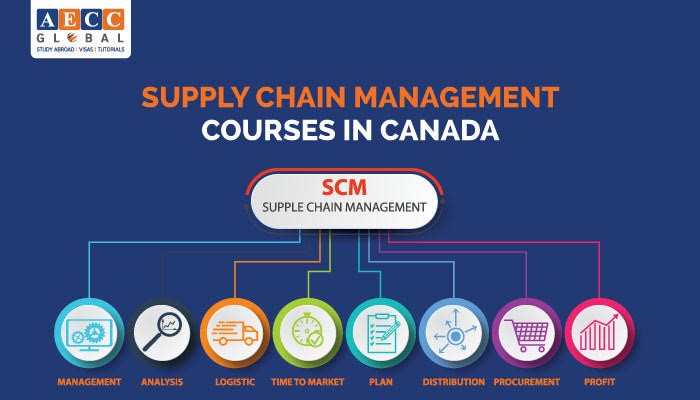 Supply Chain Management Courses In Canada