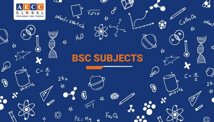 bsc-subjects
