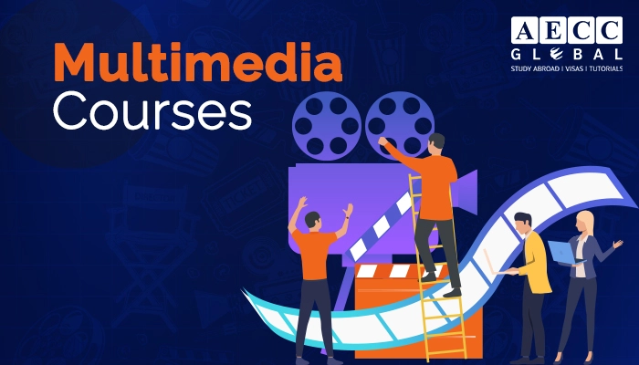 List of Multimedia Courses after 12th, Graduation, TOP Universities