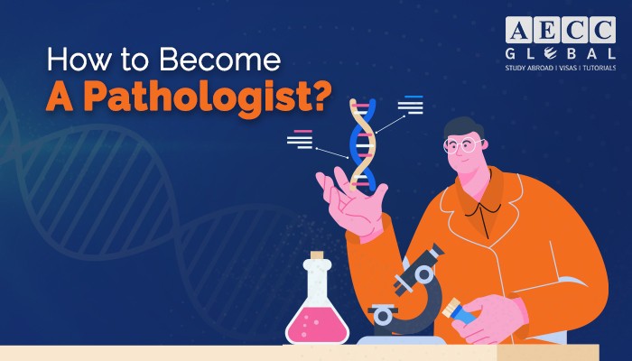 How-to-Become-A-Pathologist