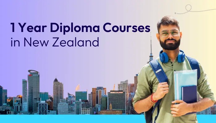1-year-diploma-courses-in-new-zealand